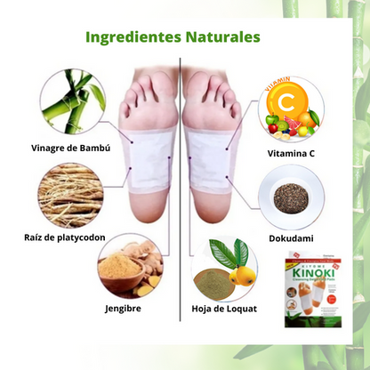 PARCHES KINOKI DETOX